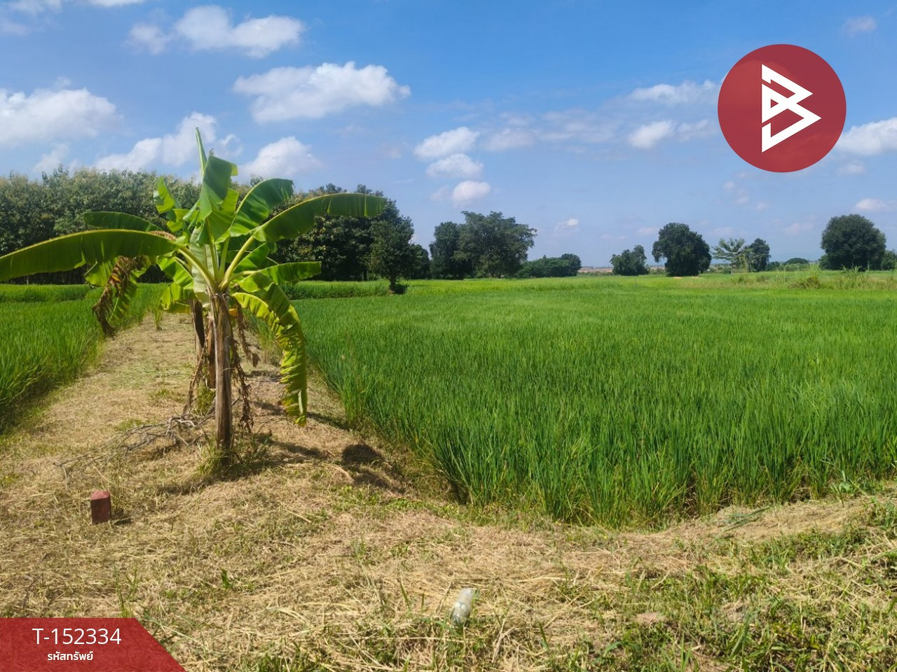 ขายที่ดิน เนื้อที่ 1 ไร่ เมืองเก่า ขอนแก่น – รูปที่ 3
