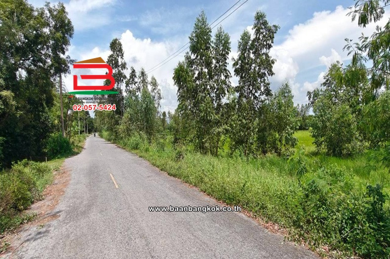 ที่ดินแปลงนา เนื้อที่ 33-0-60 ไร่ ซอยโยธาธิการ (เกาะโพธิ์), ใกล้อบต.เกาะโพธิ์ ถนนสุวรรณศรทาง(หลวงหมายเลข 33) ตำบลเกาะโพธิ์ อำเภอปากพลี นครนายก – รูปที่ 2