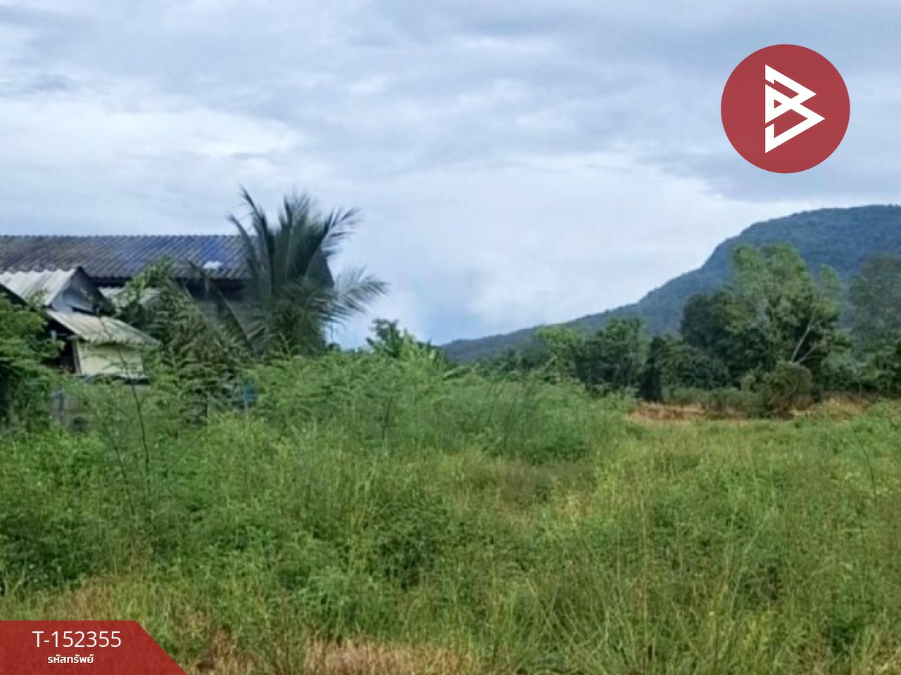 Empty land for sale, area 1 rai, Phan, Chiang Rai. – รูปที่ 4