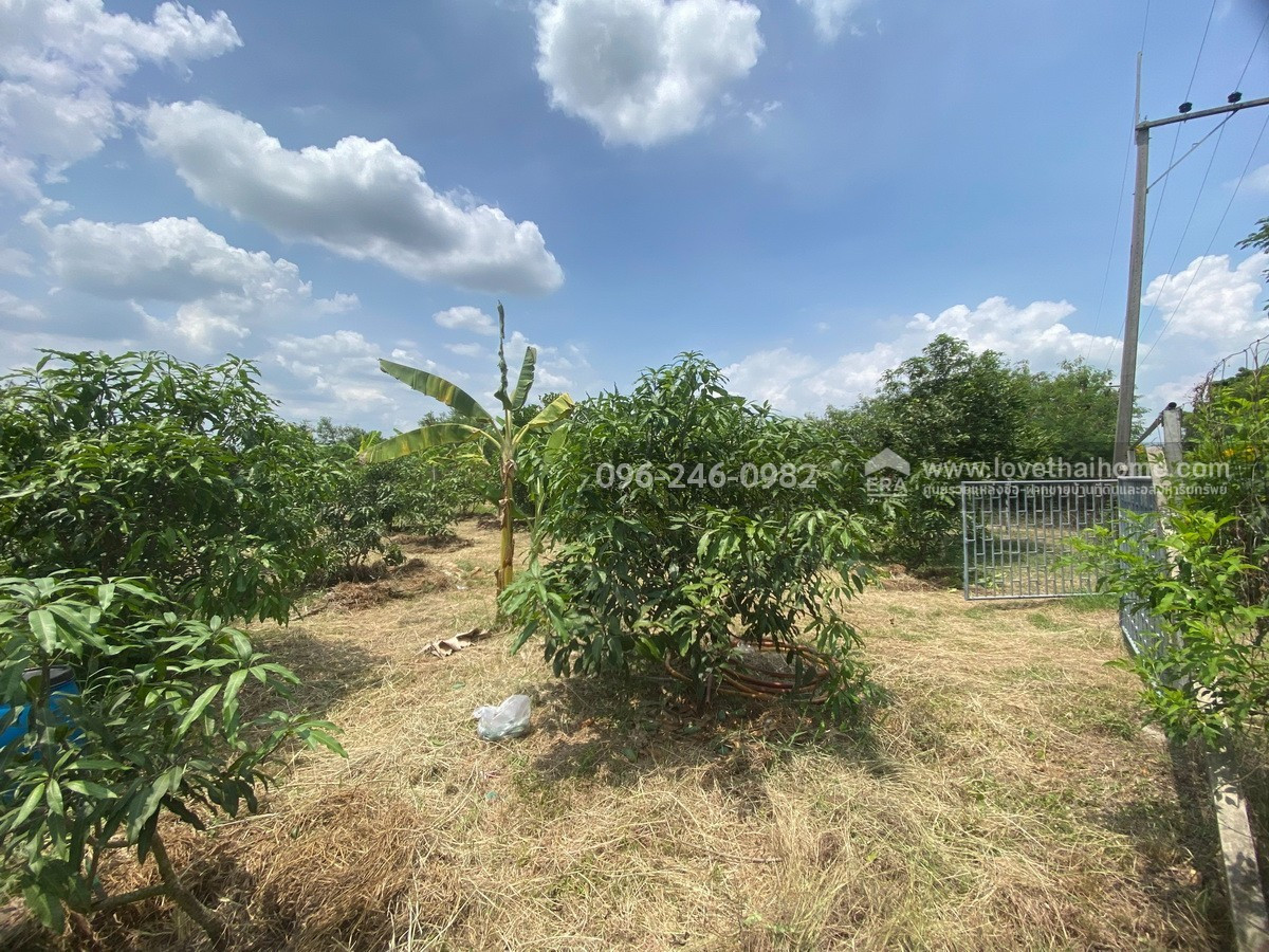 Land for sale already filled Rangsit-Liap Khlong 12, Nong Suea, Pathum Thani, area 200 sq m, selling for 6,500 baht/sq m. Can garden and build a residence. – รูปที่ 2