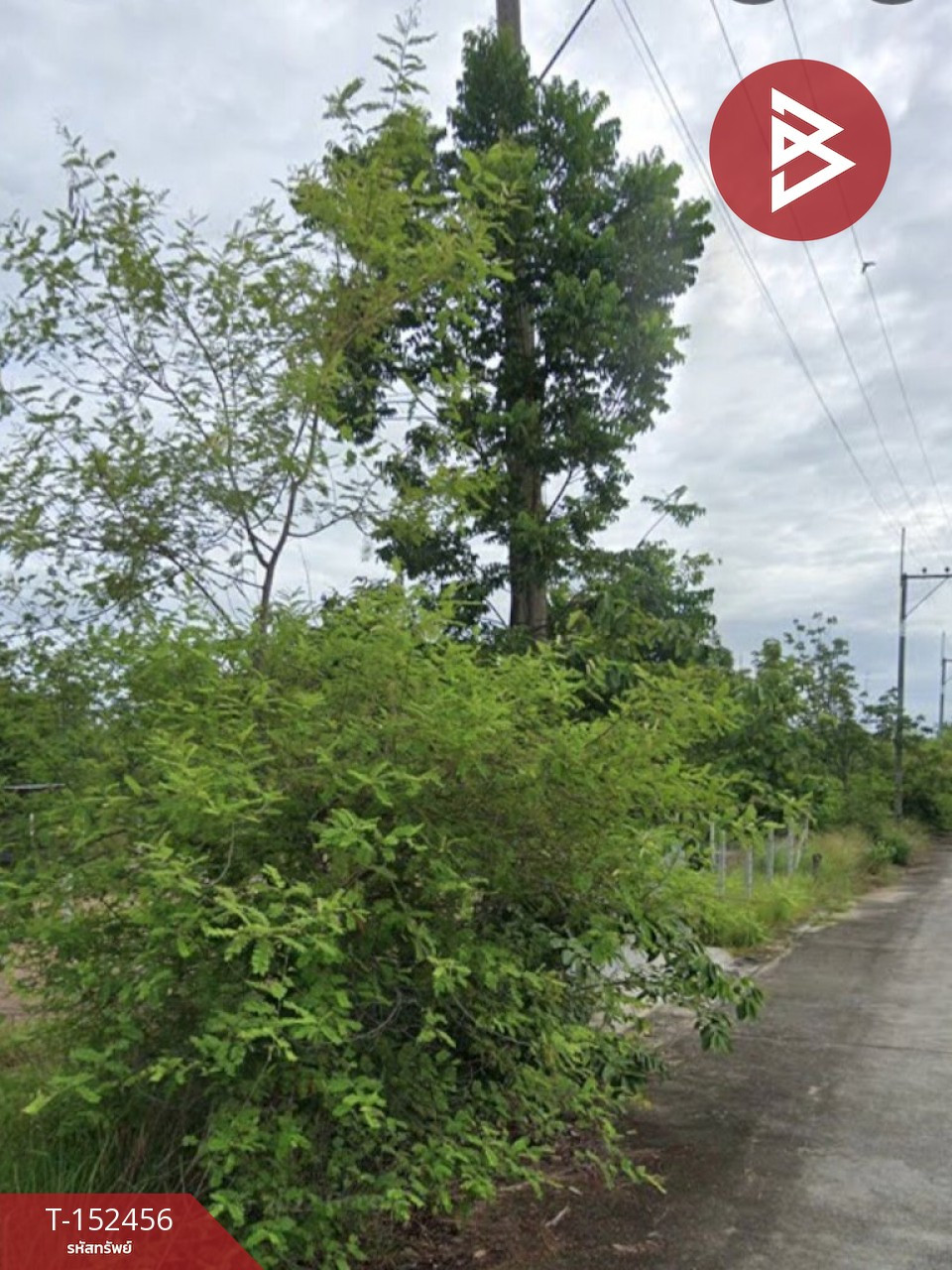 ขายที่ดิน เนื้อที่ 1 งาน 13 ตร.วา บ้านธิ ลำพูน – รูปที่ 3