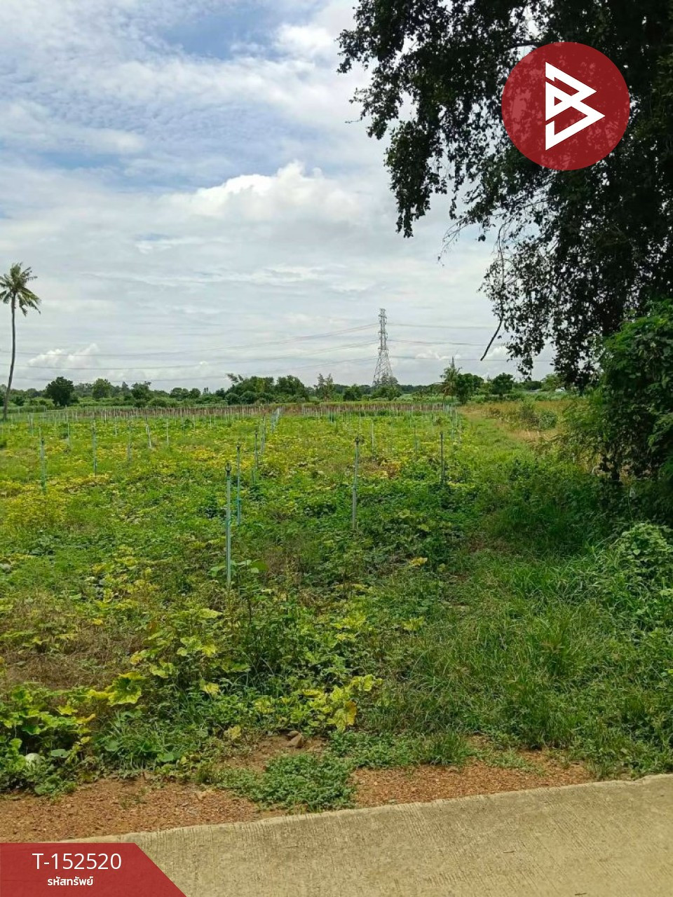 Land for sale, area 12 rai 71 sq m, Kamphaeng Saen, Nakhon Pathom. – รูปที่ 3