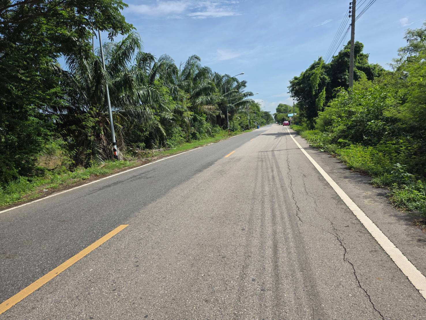 Garden land for sale, 10 rai, garden rong, Khlong 7, east side, Nong Suea, Pathum Thani. – รูปที่ 2