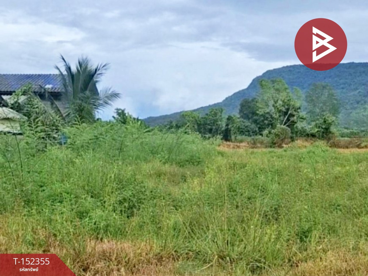 Empty land for sale, area 1 rai, Phan, Chiang Rai. – รูปที่ 3