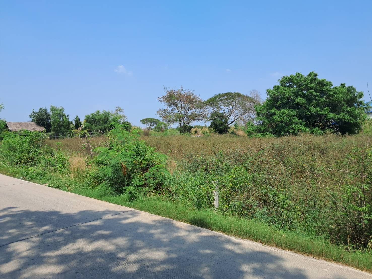 Land for sale, 2 rai, good location, Pathum Thani - Sam Khok, good price. Land for sale, 2 rai, good location, Pathum Thani - Sam Khok, good price.