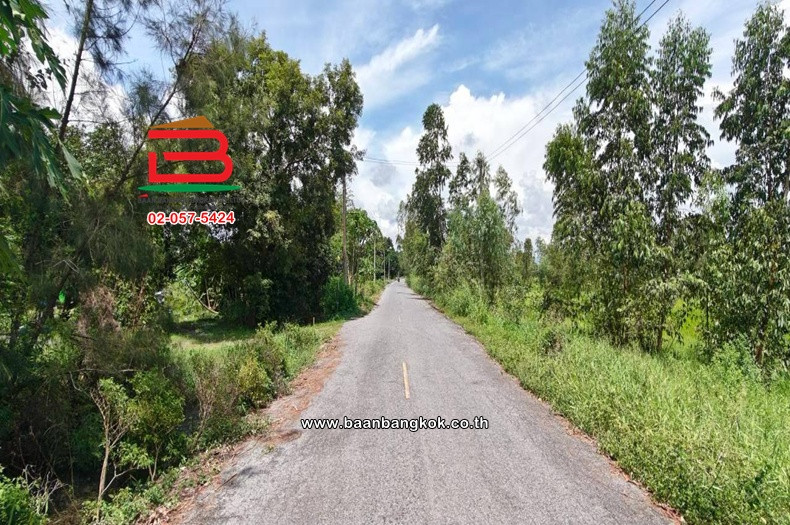 ที่ดินแปลงนา เนื้อที่ 33-0-60 ไร่ ซอยโยธาธิการ (เกาะโพธิ์), ใกล้อบต.เกาะโพธิ์ ถนนสุวรรณศรทาง(หลวงหมายเลข 33) ตำบลเกาะโพธิ์ อำเภอปากพลี นครนายก – รูปที่ 4