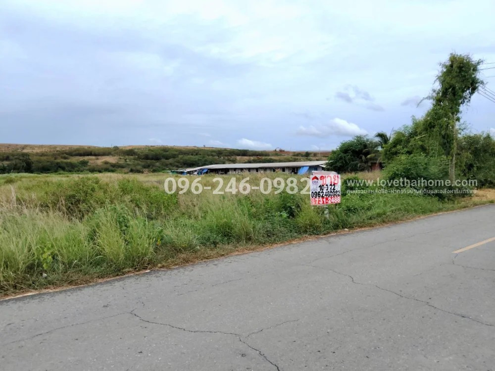Land for sale in Kamphaeng Saen, Nakhon Pathom, area 10 rai 3 ngan 22 sq m. Selling for only 1,625 baht per square wah, near Kasetsart University, Kamphaeng Saen. – รูปที่ 2