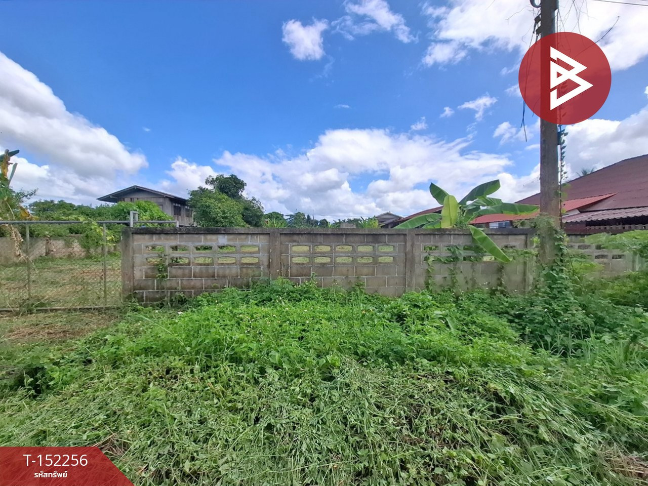 Empty land for sale, area 249 square meters, Thoeng, Chiang Rai. Empty land for sale, area 249 square meters, Thoeng, Chiang Rai.