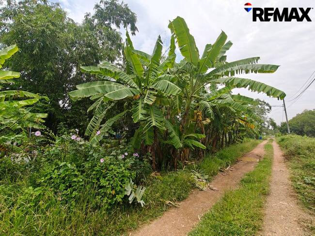 Empty land for sale, 200 sq m., Rangsit-Nakhon Nayok Road, Khlong 10, Nong Suea District, Pathum Thani Province, suitable for building a residence, buying and keeping. – รูปที่ 4