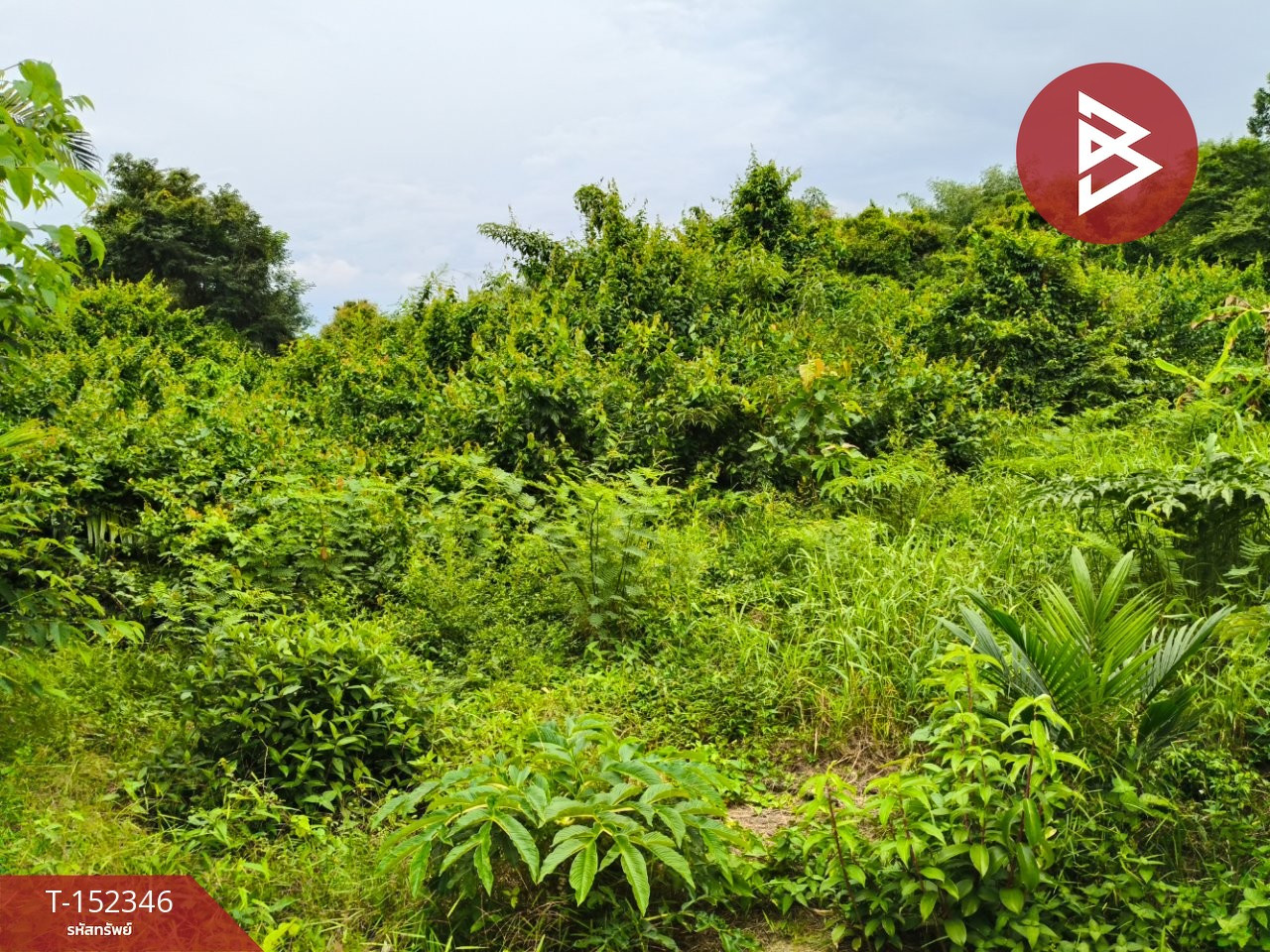 Land for sale, area 1 rai 66.2 sq m, Klaeng, Rayong. – รูปที่ 2