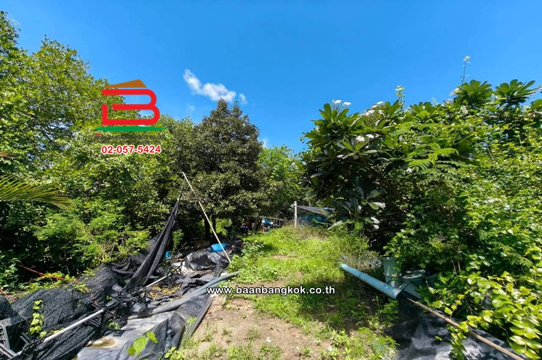 Land with house, area 21-0-37 rai, Khlong Khon Subdistrict Municipality, near Yisan Subdistrict Administrative Organization, Rama 2 Road, Yisan Subdistrict, Amphawa District, Samut Songkhram. – รูปที่ 4