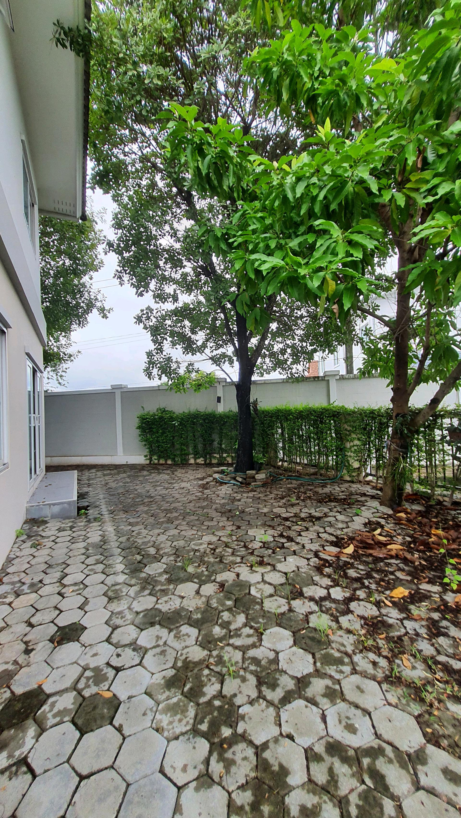 🏘️ บ้านเดี่ยวแปลงหัวมุม Lanna Heritage – ติดแยกตลาดเจริญเจริญ (สารภี ป่าบง) – รูปที่ 3