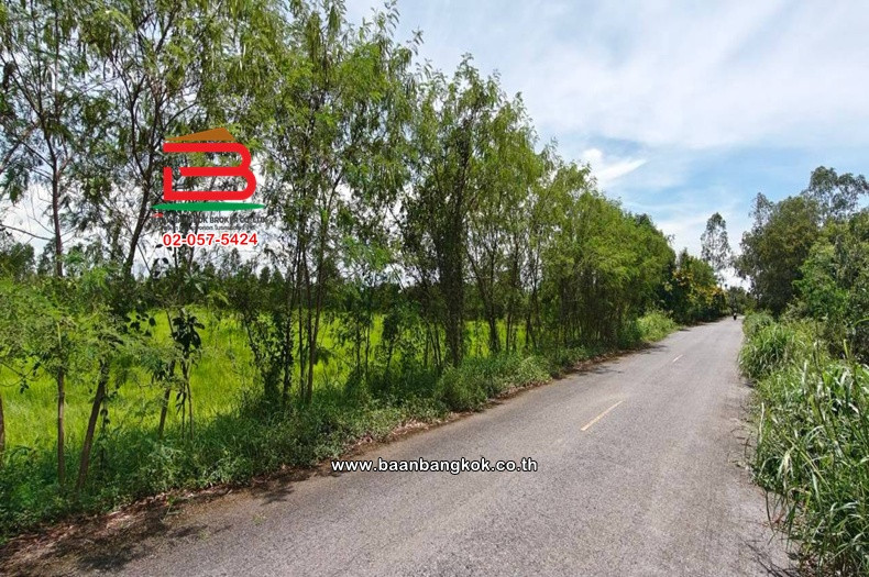 ที่ดินแปลงนา เนื้อที่ 33-0-60 ไร่ ซอยโยธาธิการ (เกาะโพธิ์), ใกล้อบต.เกาะโพธิ์ ถนนสุวรรณศรทาง(หลวงหมายเลข 33) ตำบลเกาะโพธิ์ อำเภอปากพลี นครนายก – รูปที่ 3