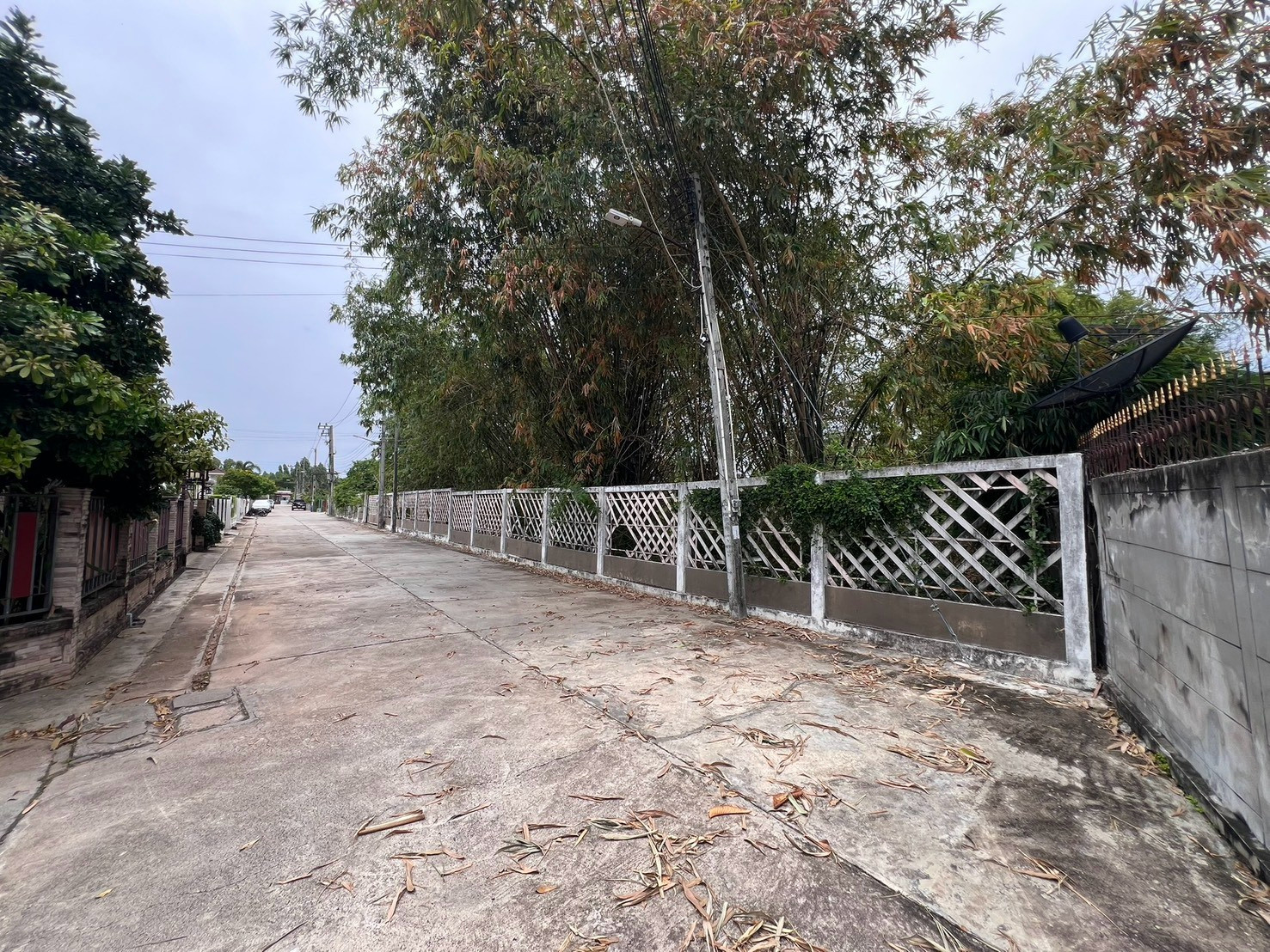 PZ1601 Land for sale, 3 rai, only 1.8 km. from Lotus Ban Chang, Sukhumvit Road, opposite Fah Mai Village, Ban Chang, only 11 km. to U-Tapao International Airport, Ban Chang Subdistrict, Ban Chang District, Rayong Province. – รูปที่ 2