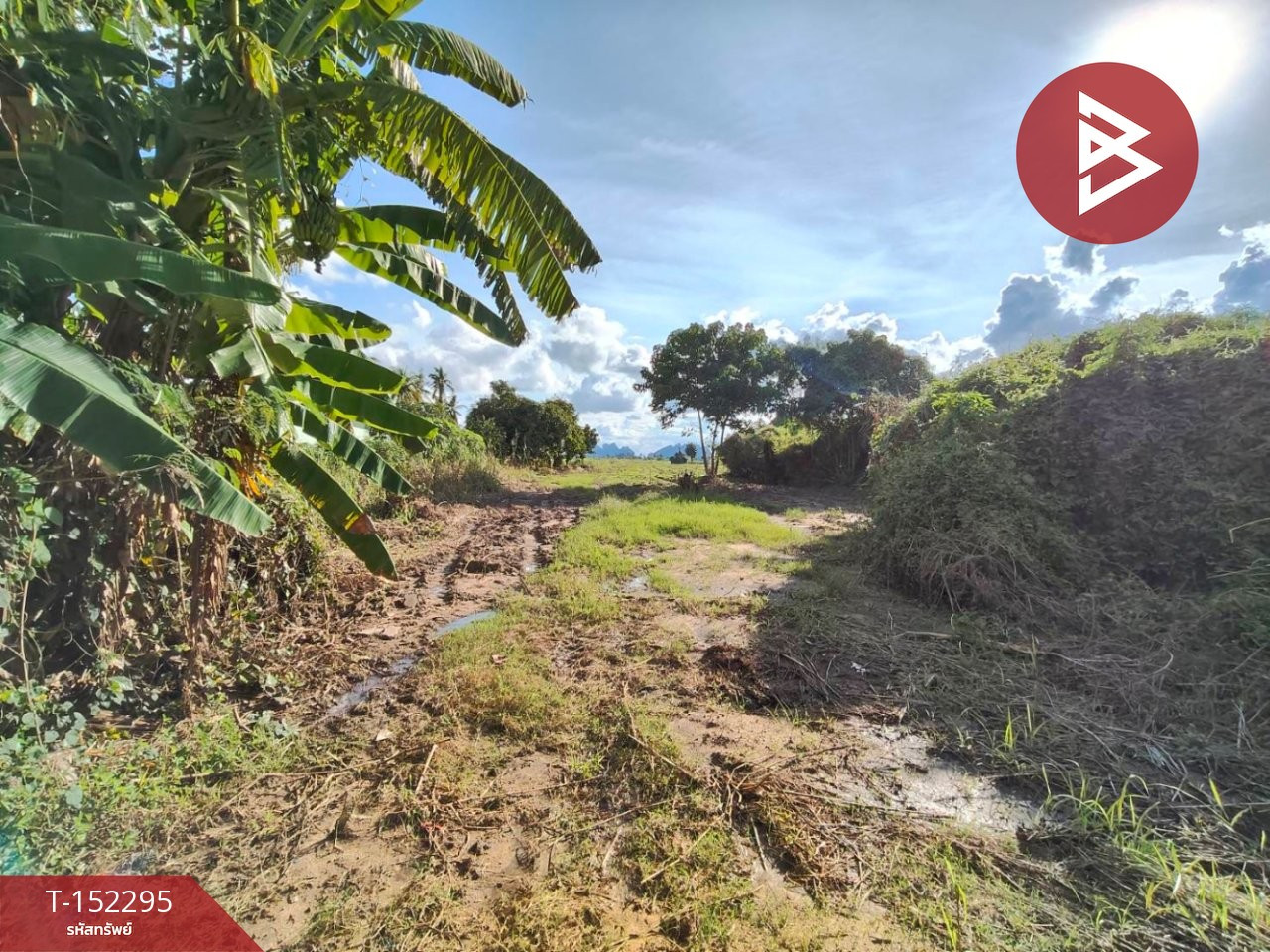 Land for sale, area 9 rai 14 sq m, Banphot Phisai, Nakhon Sawan. – รูปที่ 4