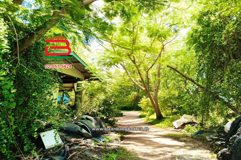 Land with house, area 21-0-37 rai, Khlong Khon Subdistrict Municipality, near Yisan Subdistrict Administrative Organization, Rama 2 Road, Yisan Subdistrict, Amphawa District, Samut Songkhram. – รูปที่ 3