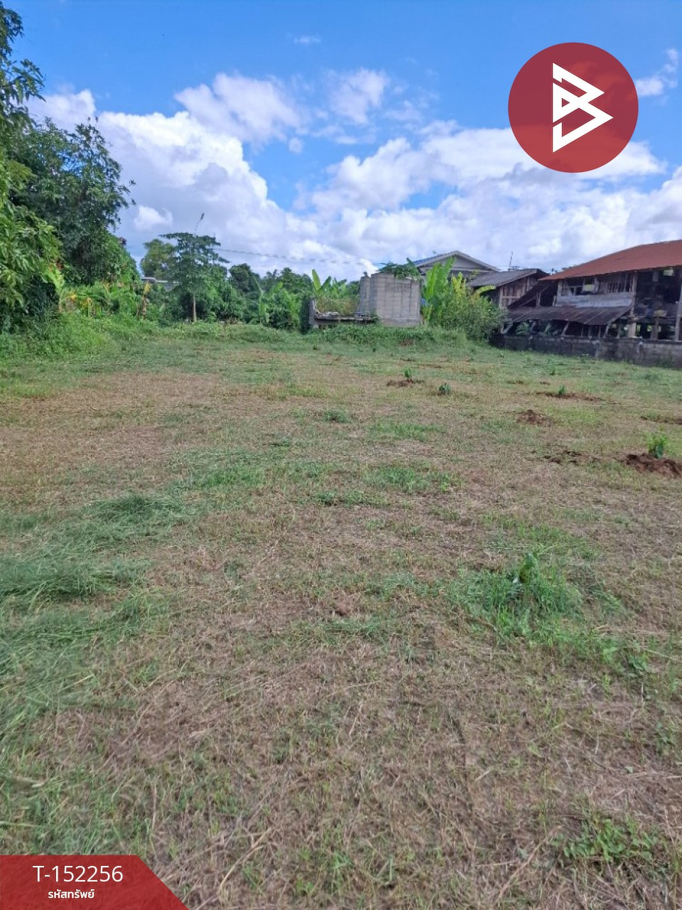 Empty land for sale, area 249 square meters, Thoeng, Chiang Rai. – รูปที่ 2