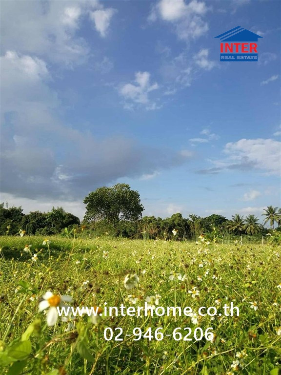 Empty land 1 rai 129.1 sq m. Land near Nong Chang Khuen Subdistrict Municipality. Rural Highway LP 3029, Lamphun-Sarapee Road, Mueang Lamphun, Lamphun