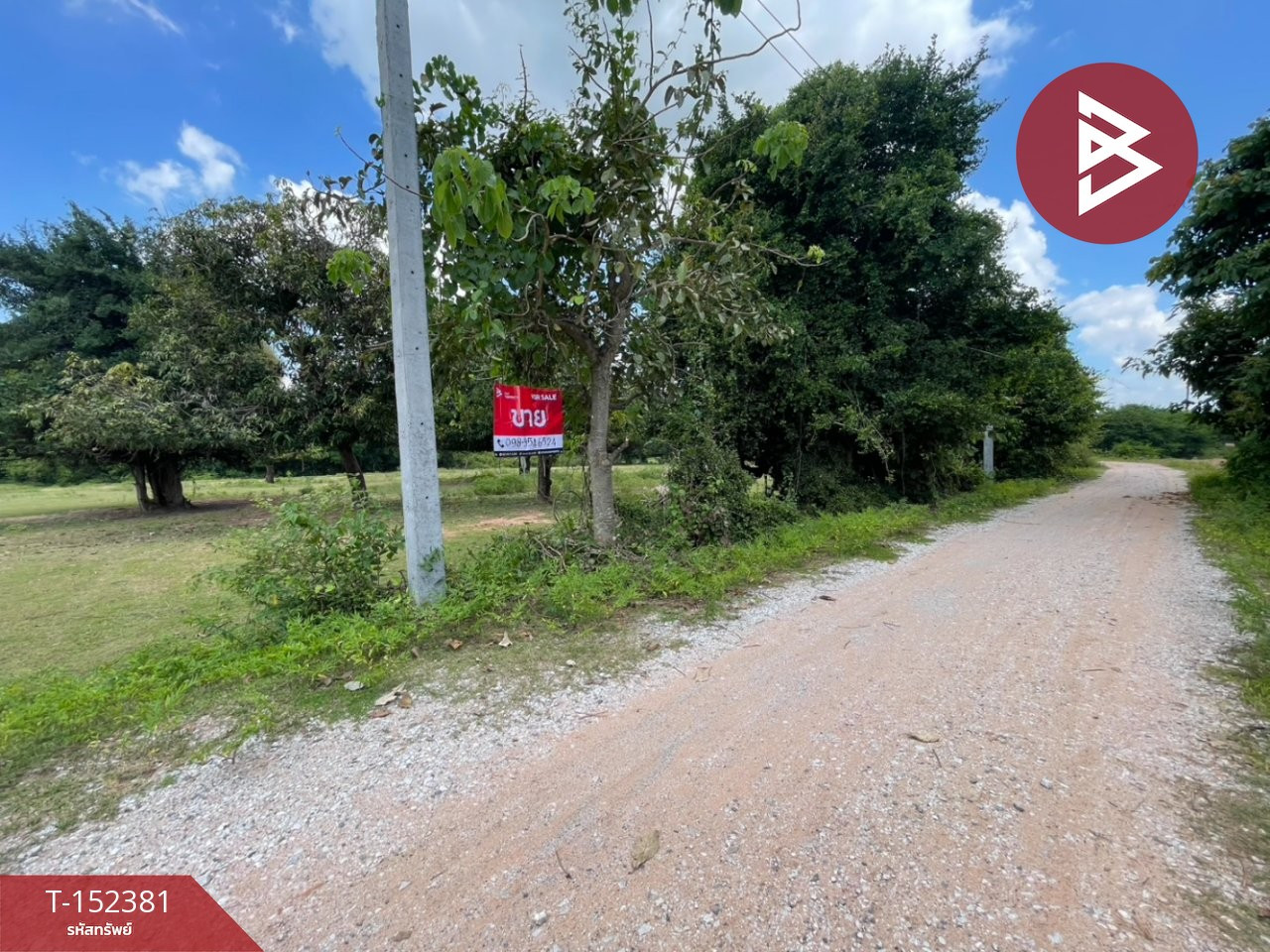ขายที่ดิน เนื้อที่ 3 ไร่ 3 งาน 62 ตร.วา บ้านไผ่ ขอนแก่น – รูปที่ 3