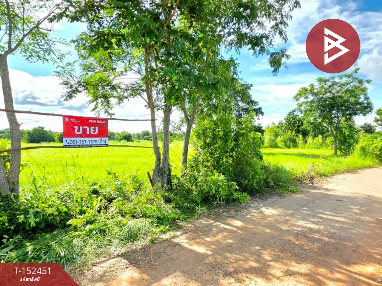 ขายที่ดิน เนื้อที่ 5 ไร่ 1 งาน 53.4 ตร.วา บรบือ มหาสารคาม  – รูปที่ 2