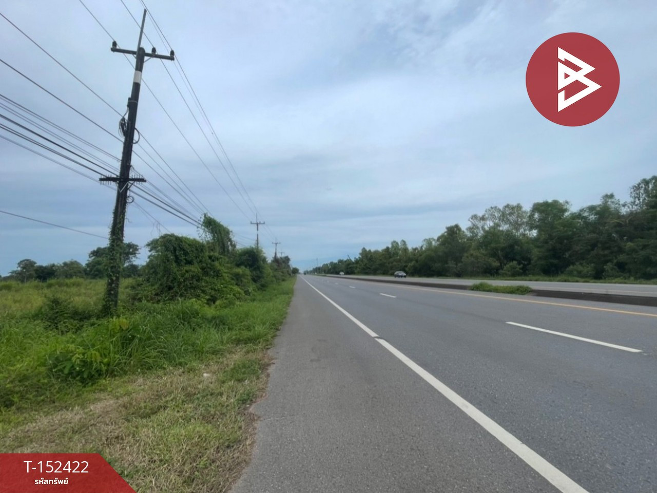 ขายที่ดิน เนื้อที่ 9 ไร่ พรรณานิคม สกลนคร – รูปที่ 2