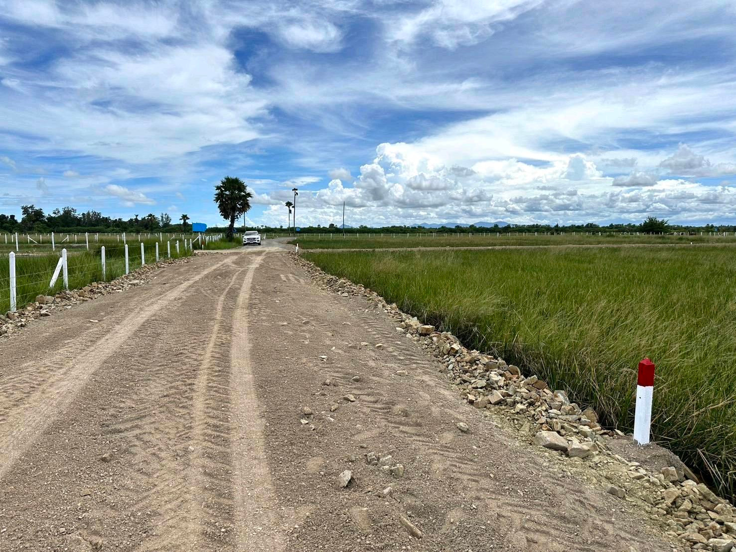 Land 220 square meters, price 290,000 baht, cheap. – รูปที่ 2