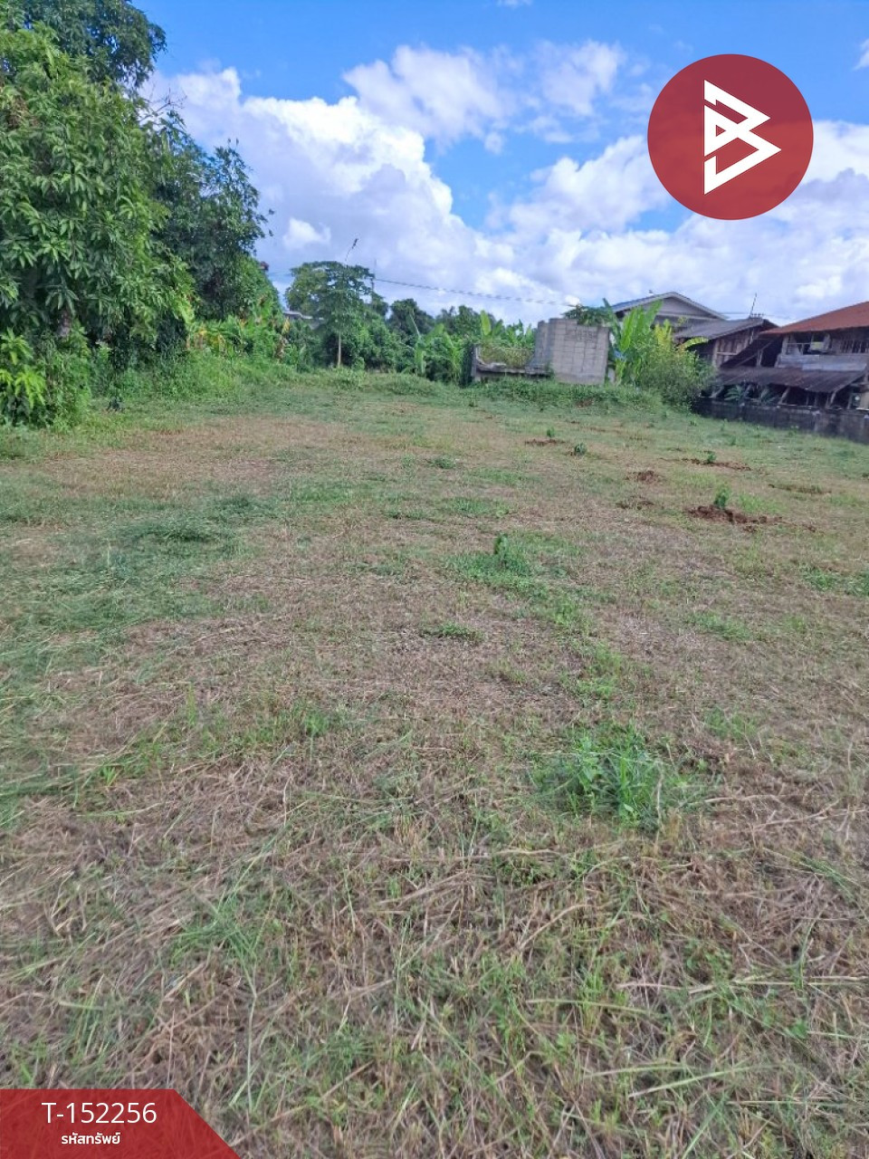 Empty land for sale, area 249 square meters, Thoeng, Chiang Rai. – รูปที่ 3