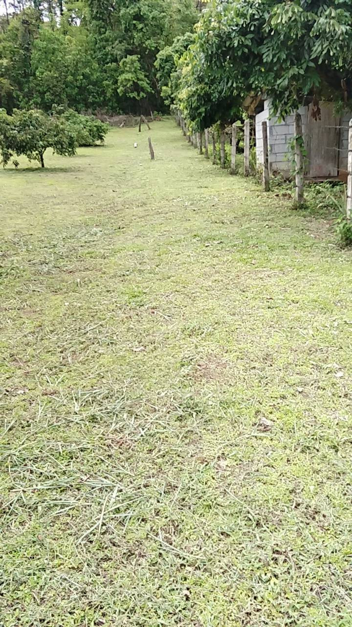 Land for sale, good location near the main road, Phrao District, Chiang Mai Province. – รูปที่ 4