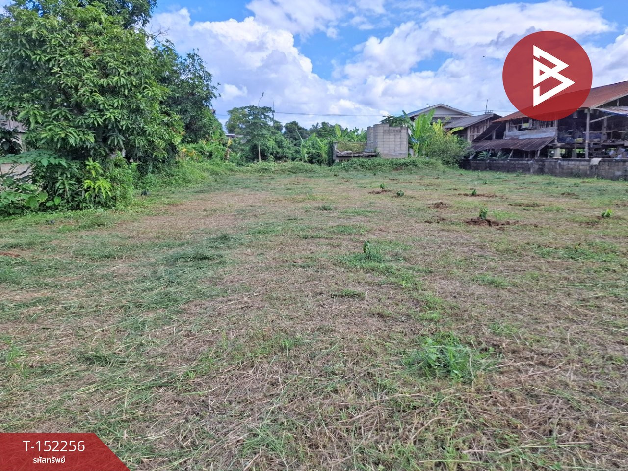 Empty land for sale, area 249 square meters, Thoeng, Chiang Rai. – รูปที่ 4