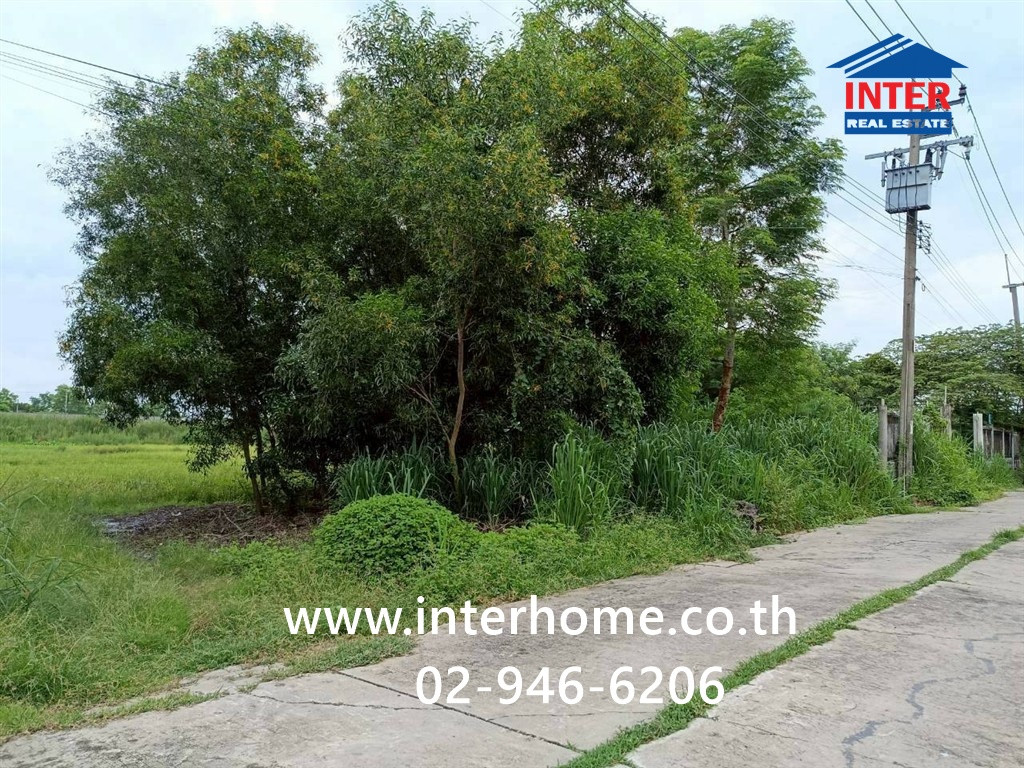ที่ดินเปล่า 100 ตร.ว. ที่ดินเปล่าราคาถูก ,ที่ดินเปล่าหนองจอก ใกล้วัดพระยาปลา ซอยช่างเตี้ย ถนนประชาสำราญ เขตหนองจอก กรุงเทพมหานคร  – รูปที่ 3