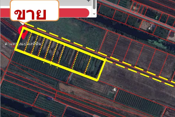 ขายที่ดิน 12ไร่ ไทรใหญ่ ไทรน้อย นนทบุรี ขายที่ดิน 12ไร่ ไทรใหญ่ ไทรน้อย นนทบุรี
