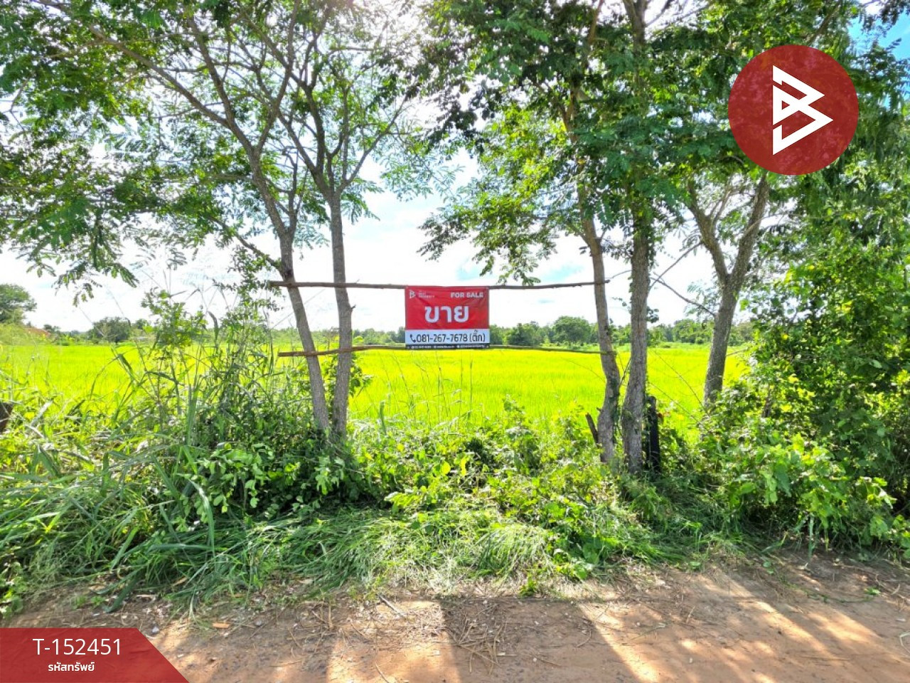 Land for sale, area 5 rai 1 ngan 53.4 sq m, Borabue, Maha Sarakham. Land for sale, area 5 rai 1 ngan 53.4 sq m, Borabue, Maha Sarakham.