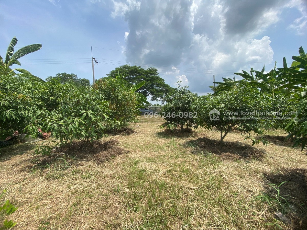 Land for sale already filled Rangsit-Liap Khlong 12, Nong Suea, Pathum Thani, area 200 sq m, selling for 6,500 baht/sq m. Can garden and build a residence. – รูปที่ 4