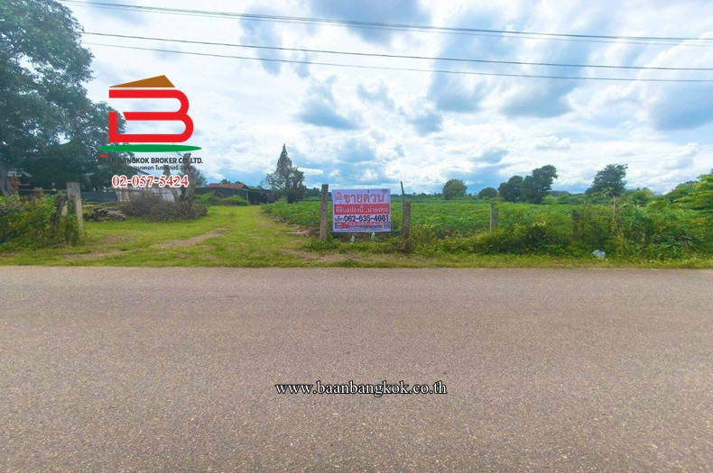ที่ดินเปล่า ปากท่อ-ราชบุรี (ทุ่งหลวงซอย 10) เนื้อที่ 27-2-67 ไร่ ตำบลทุ่งหลวง อำเภอปากท่อ จังหวัดราชบุรี