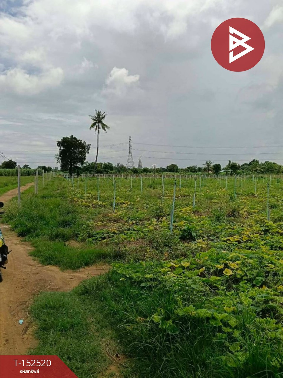 Land for sale, area 12 rai 71 sq m, Kamphaeng Saen, Nakhon Pathom. – รูปที่ 4