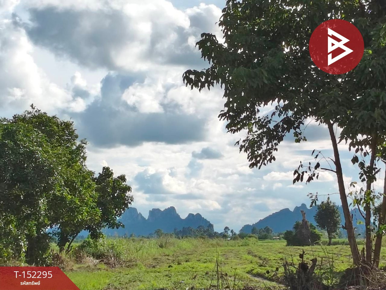 Land for sale, area 9 rai 14 sq m, Banphot Phisai, Nakhon Sawan. – รูปที่ 3