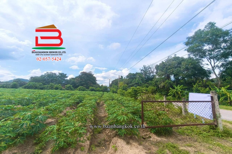 ที่ดินเปล่า ปากท่อ-ราชบุรี (ทุ่งหลวงซอย 10) เนื้อที่ 27-2-67 ไร่ ตำบลทุ่งหลวง อำเภอปากท่อ จังหวัดราชบุรี – รูปที่ 4