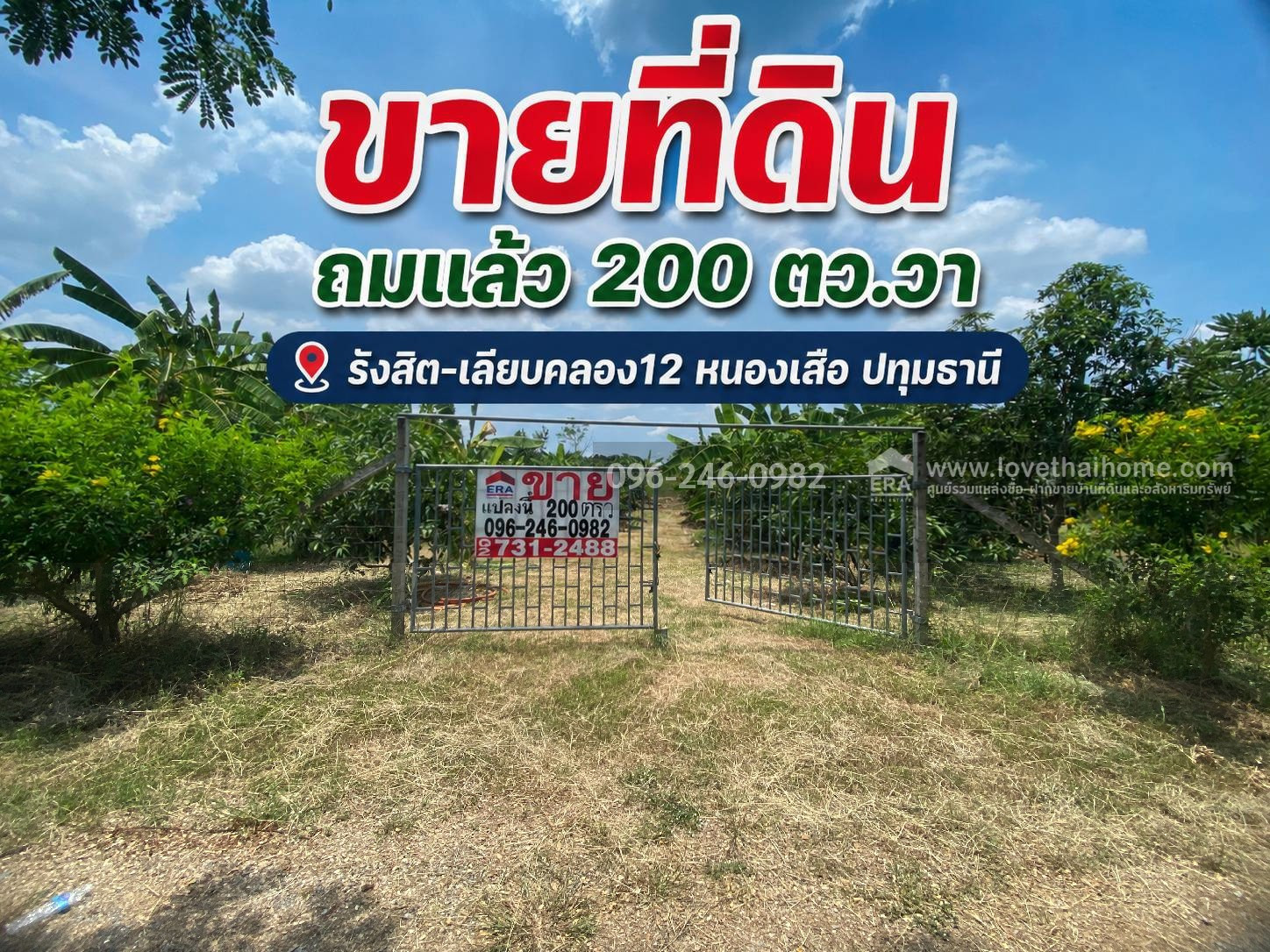 Land for sale already filled Rangsit-Liap Khlong 12, Nong Suea, Pathum Thani, area 200 sq m, selling for 6,500 baht/sq m. Can garden and build a residence. Land for sale already filled Rangsit-Liap Khlong 12, Nong Suea, Pathum Thani, area 200 sq m, selling for 6,500 baht/sq m. Can garden and build a residence.