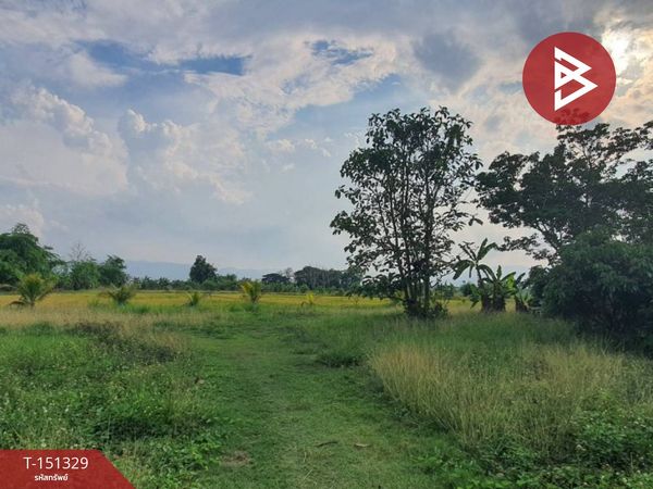 Land for sale, area 7 rai 1 ngan 91.1 sq m, Phan, Chiang Rai.