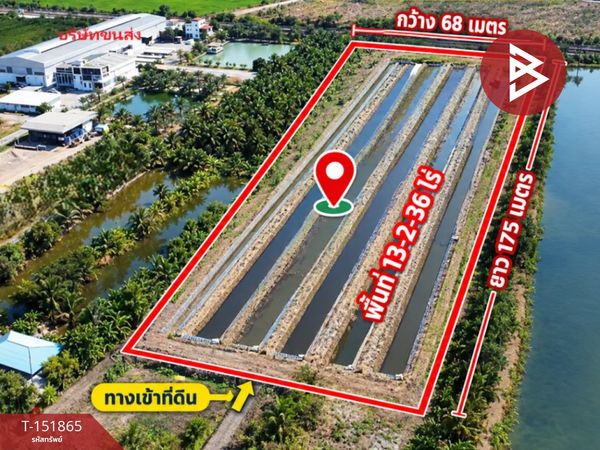 Land for sale, area 13 rai 2 ngan 36 sq m, Lat Krabang, Bangkok