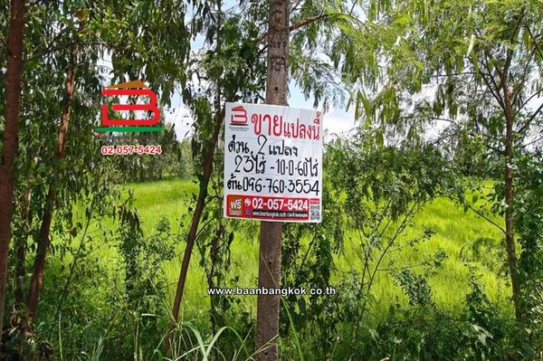 Rice field land, area 33-0-60 rai, Soi Yothathikan (Koh Pho), near Koh Pho Subdistrict Administrative Organization. Suwansonthang Road (Highway 33), Koh Pho Subdistrict, Pak Phli District, Nakhon Nayok