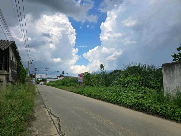 ขายที่ดิน ผังสีชมพู 3 งาน 50 ตร.ว. ซอยสามพราน 12 ถนนคอนกรีตสองเลน ไฟฟ้าพร้อม ติดเพชรเกษม ใกล้โรงเรียน ภ.ป.ร. และโลตัส สามพราน