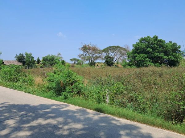 ขาย ที่ดิน 2 ไร่ ทำเลดี ปทุมธานี – สามโคก ราคาคุ้มค่า 