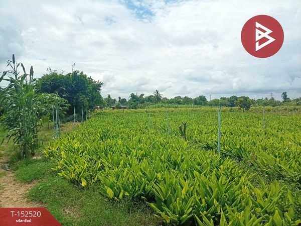 ขายที่ดิน เนื้อที่ 12 ไร่ 71 ตร.วา กำแพงแสน นครปฐม