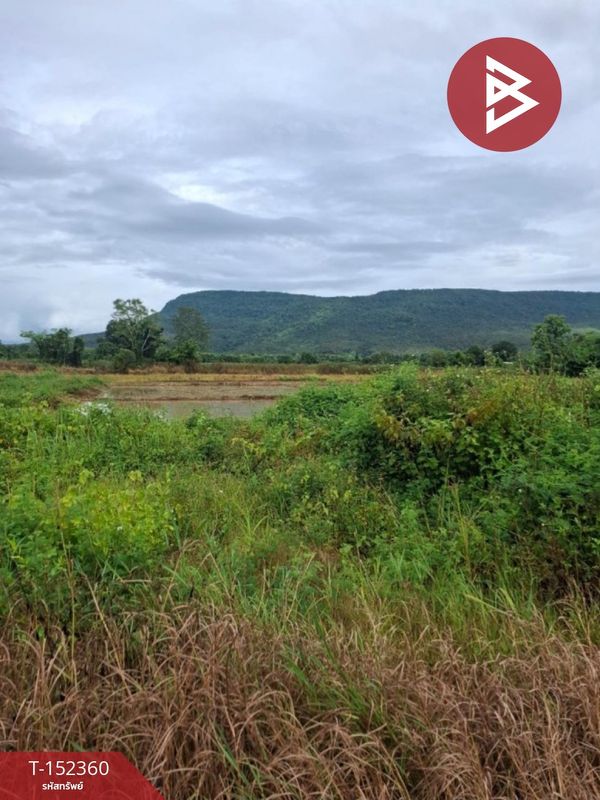 Land for sale, area 2 rai 3 ngan 22 sq m, Phan, Chiang Rai.