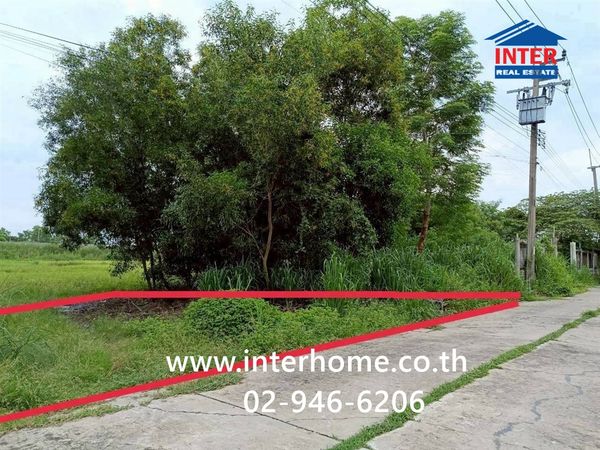 ที่ดินเปล่า 100 ตร.ว. ที่ดินเปล่าราคาถูก ,ที่ดินเปล่าหนองจอก ใกล้วัดพระยาปลา ซอยช่างเตี้ย ถนนประชาสำราญ เขตหนองจอก กรุงเทพมหานคร 