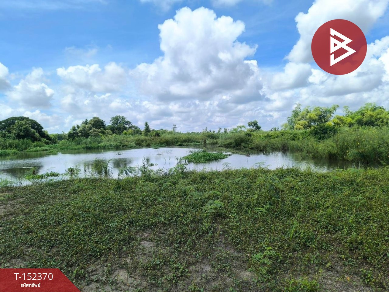 ขายที่ดิน เนื้อที่ 39 ไร่ 3 งาน 55 ตร.วา องครักษ์ นครนายก – รูปที่ 4