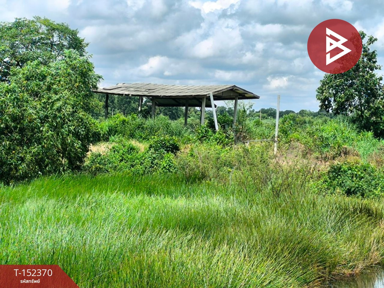 ขายที่ดิน เนื้อที่ 39 ไร่ 3 งาน 55 ตร.วา องครักษ์ นครนายก – รูปที่ 2