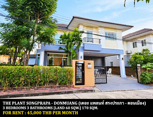 FOR RENT THE PLANT SONGPRAPA - DONMUANG / 3 bedrooms 3 bathrooms / 60 Sqw. 170 Sqm. **45,000** CLOSE TO DONMUEANG AIRPORT FOR RENT THE PLANT SONGPRAPA - DONMUANG / 3 bedrooms 3 bathrooms / 60 Sqw. 170 Sqm. **45,000** CLOSE TO DONMUEANG AIRPORT