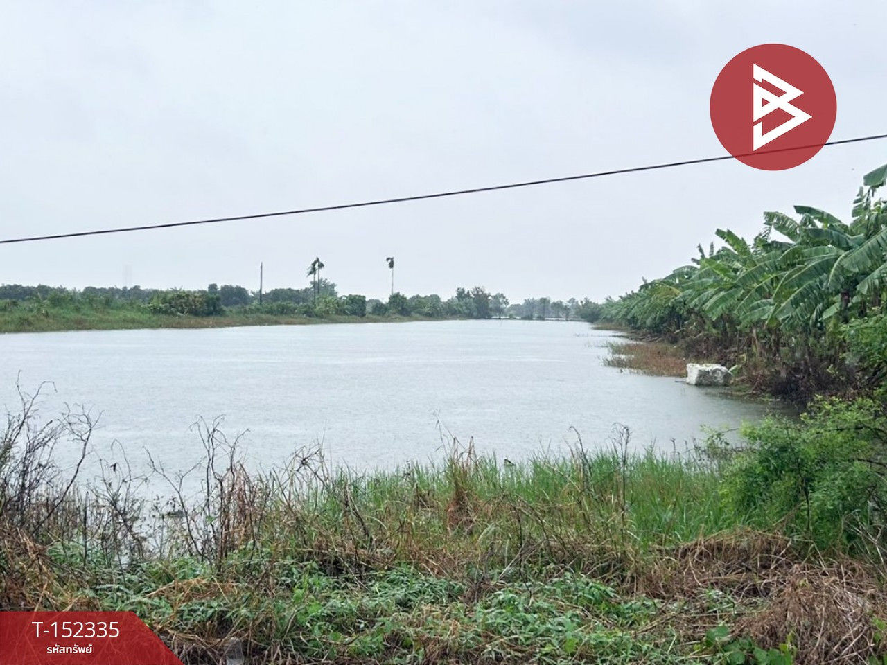 ขายที่ดิน เนื้อที่ 5 ไร่ 3 งาน 83.3 ตร.วา บางเสาธง สมุทรปราการ – รูปที่ 2